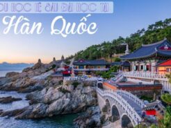 Du học Hàn Quốc hệ sau đại học như thế nào và cần chuẩn bị những gì?