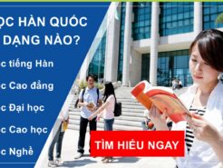 Bạn sẽ đi du học Hàn Quốc theo dạng nào phù hợp điều kiện tuyển sinh?