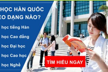 Bạn sẽ đi du học Hàn Quốc theo dạng nào phù hợp điều kiện tuyển sinh?